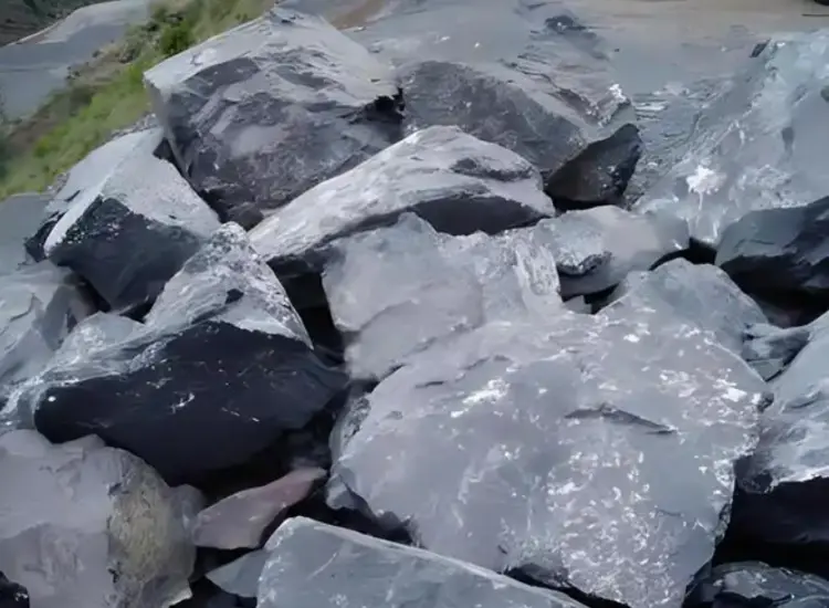 Recovery Test from Carbonaceous Gold Tailings