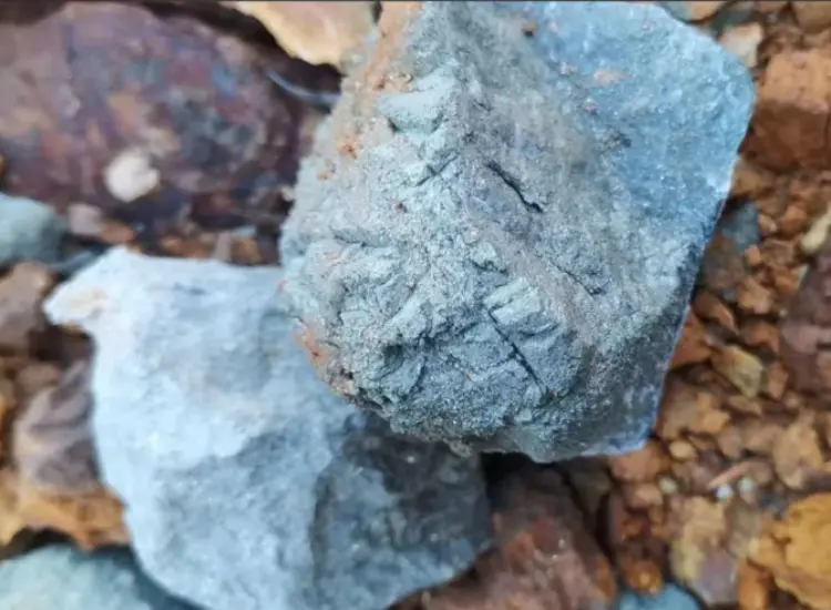 Recovery Test from High-Sulfur Gold Tailings