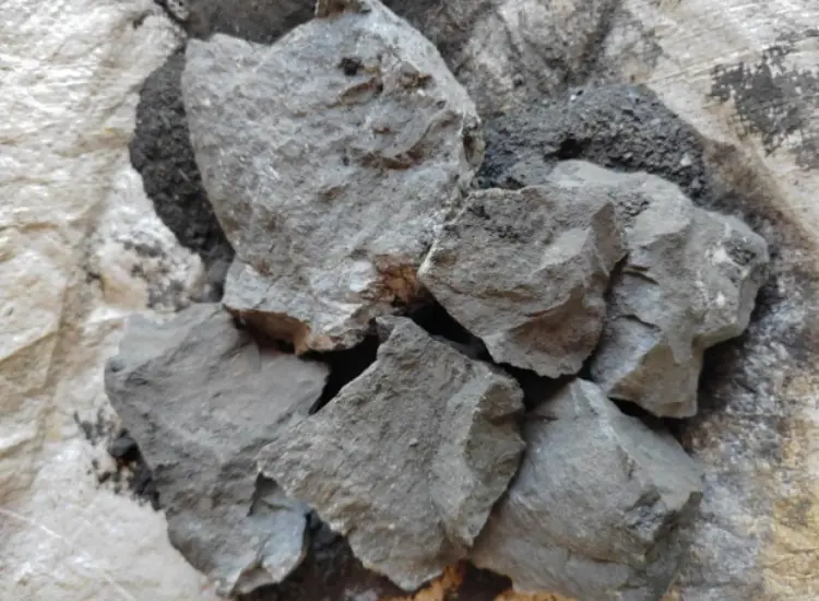 Mineral Processing Test of High-Sulfur Gold Ore