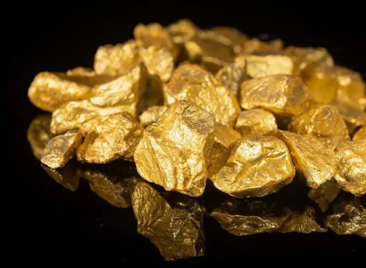 Flotation Test of Gold Ore