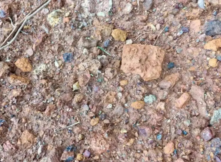 Mineral Processing Test of Lead-Zinc Oxide Ore